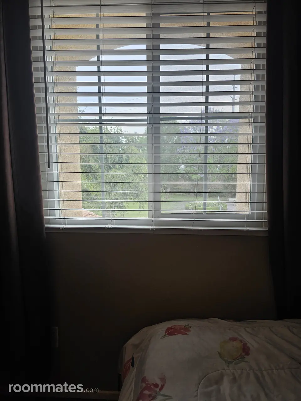 Profile photo 1 of 7