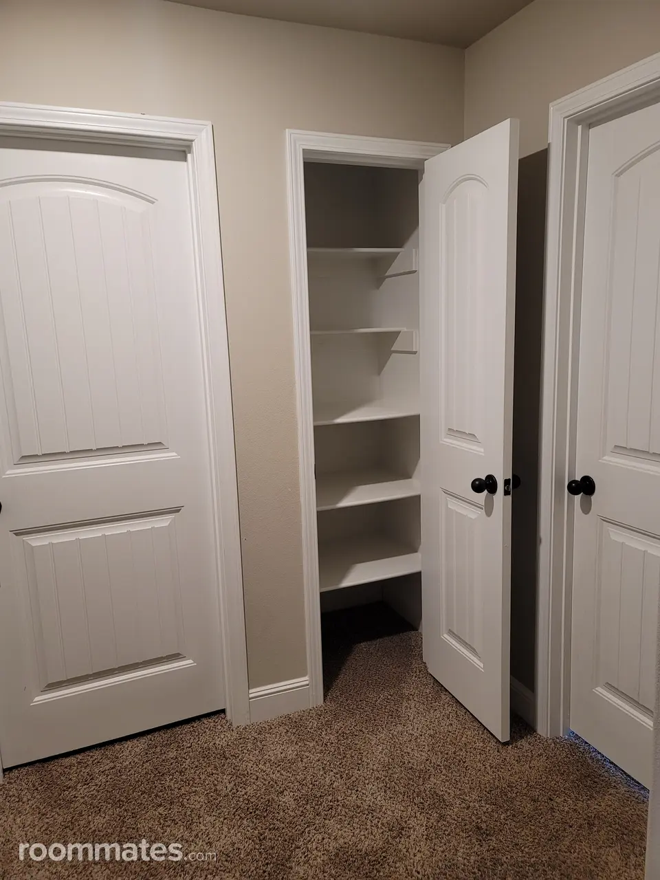 Profile photo 5 of 12