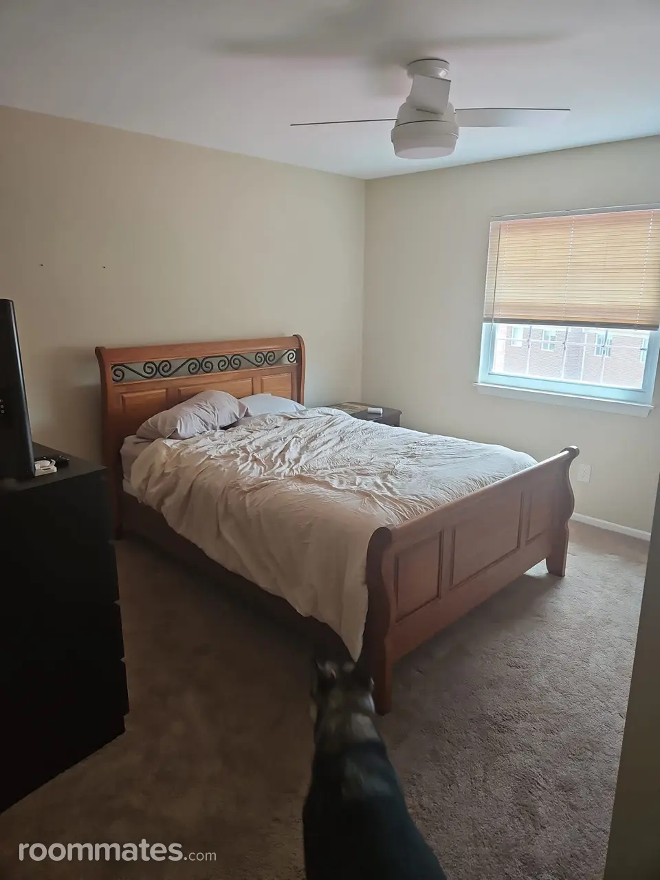 Profile photo 5 of 11