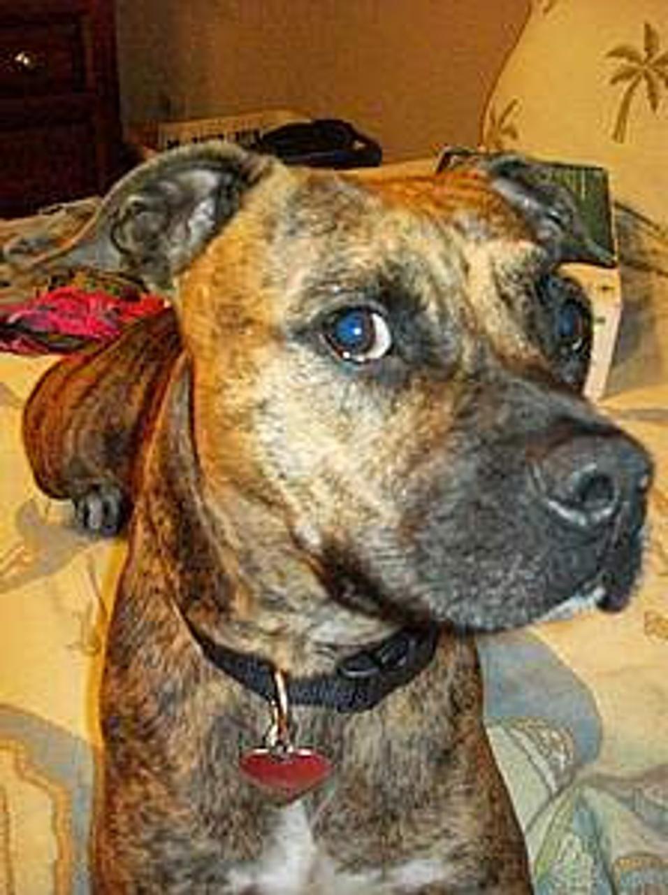 Profile photo 8 of 8