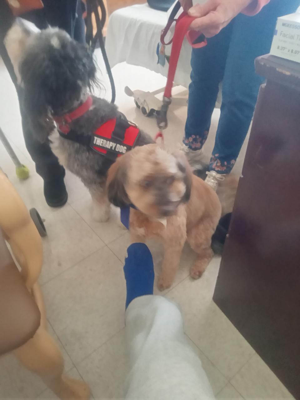 Profile photo 4 of 5