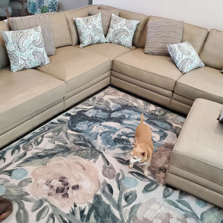 Room for rent in Arlington, TX $1150, house