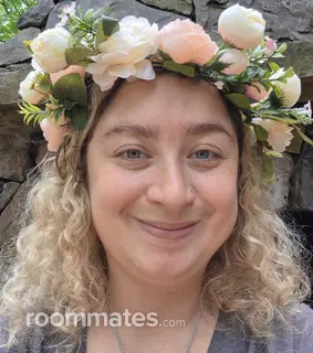 Roommate looking Rogers, AR, $1200