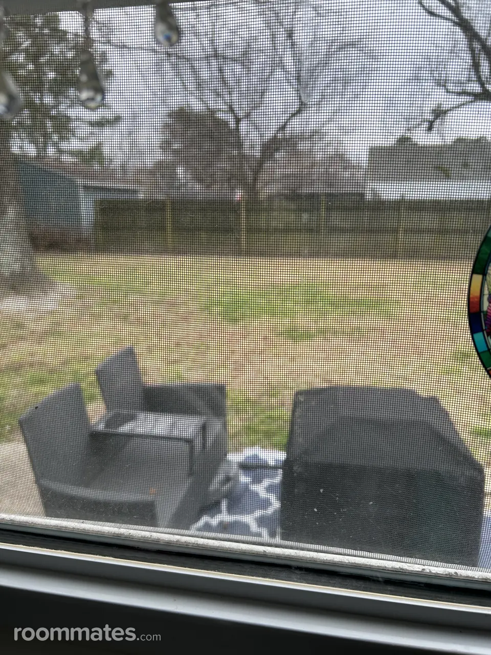 Profile photo 12 of 13