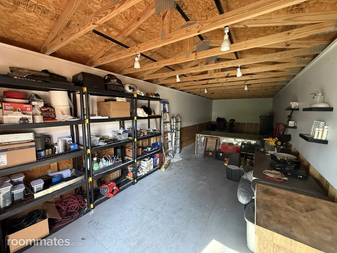 Profile photo 7 of 11