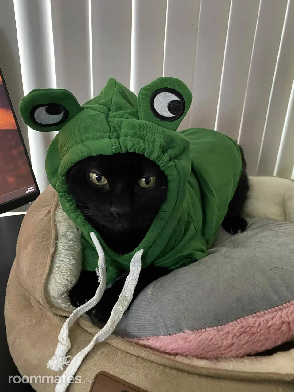 Profile photo 2 of 2