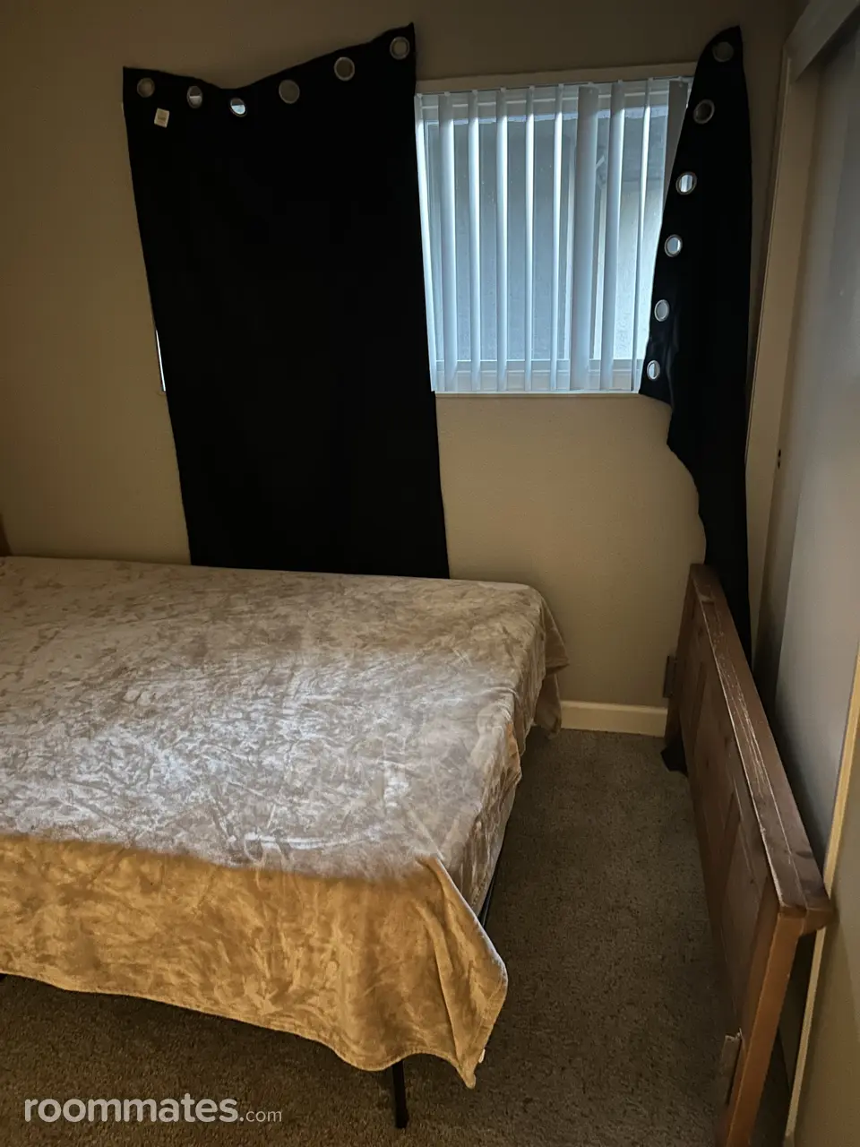 Profile photo 4 of 13