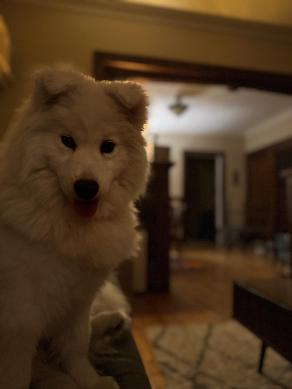 Profile photo 7 of 15