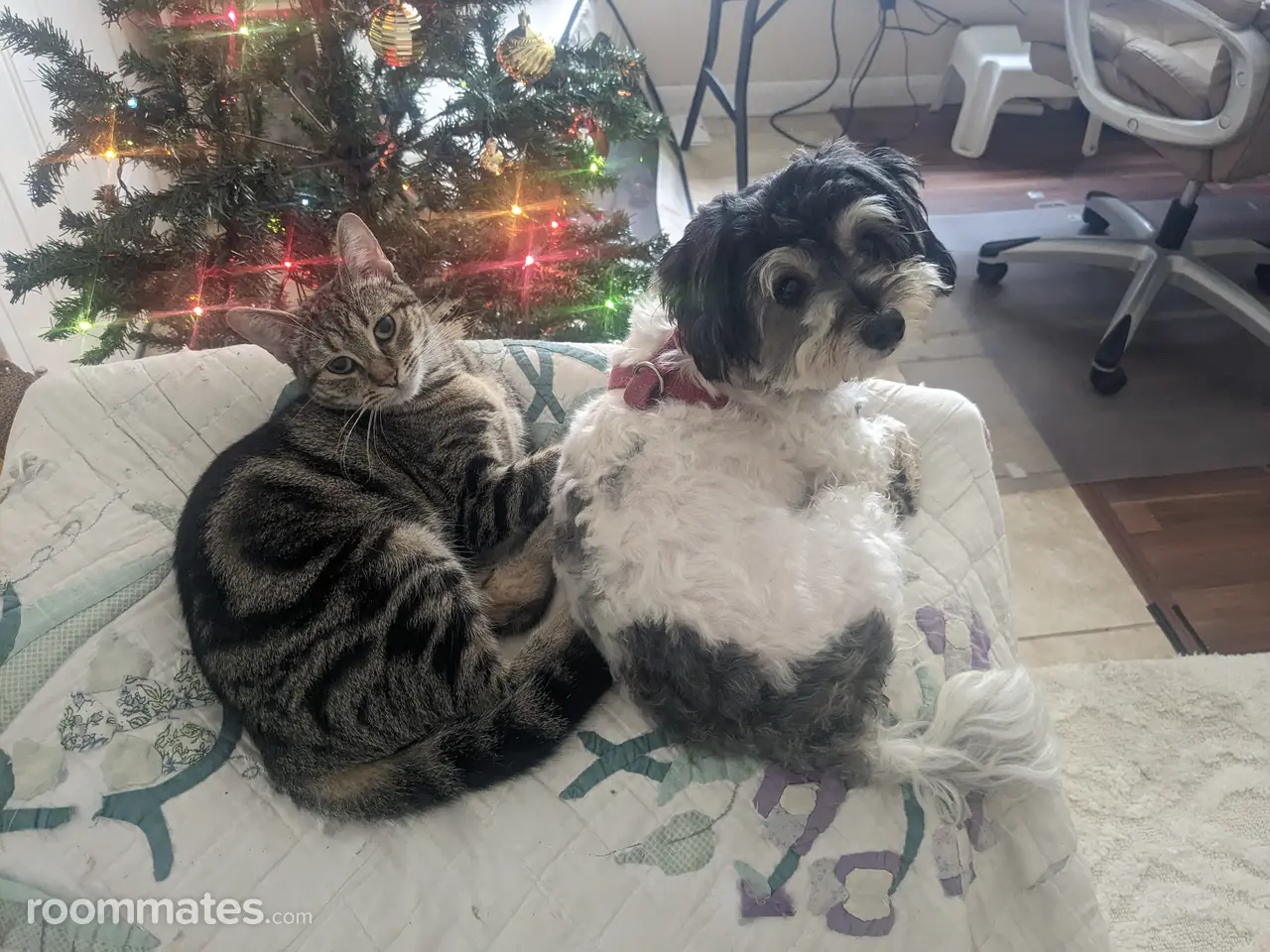 Profile photo 4 of 7