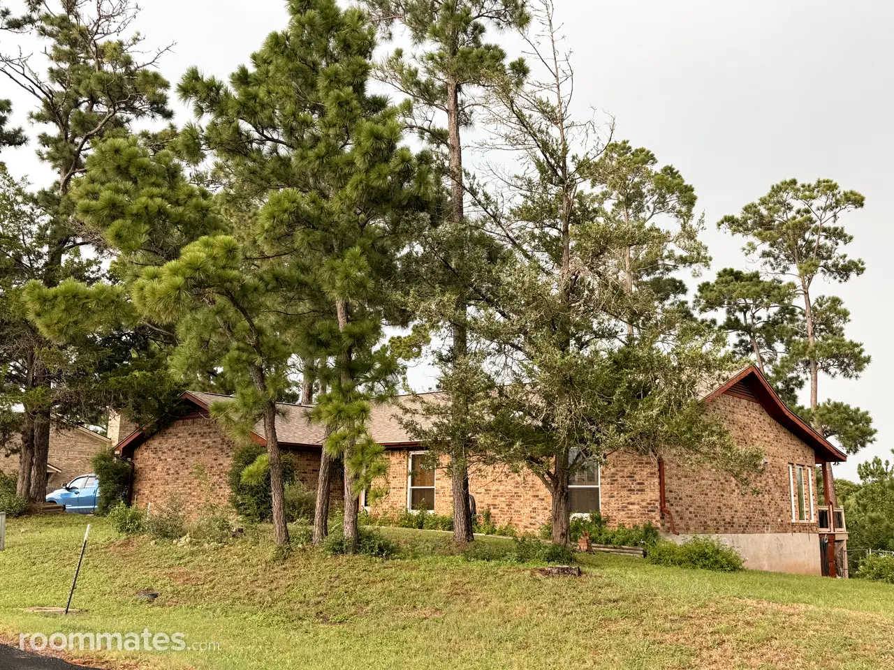 Profile photo 1 of 8