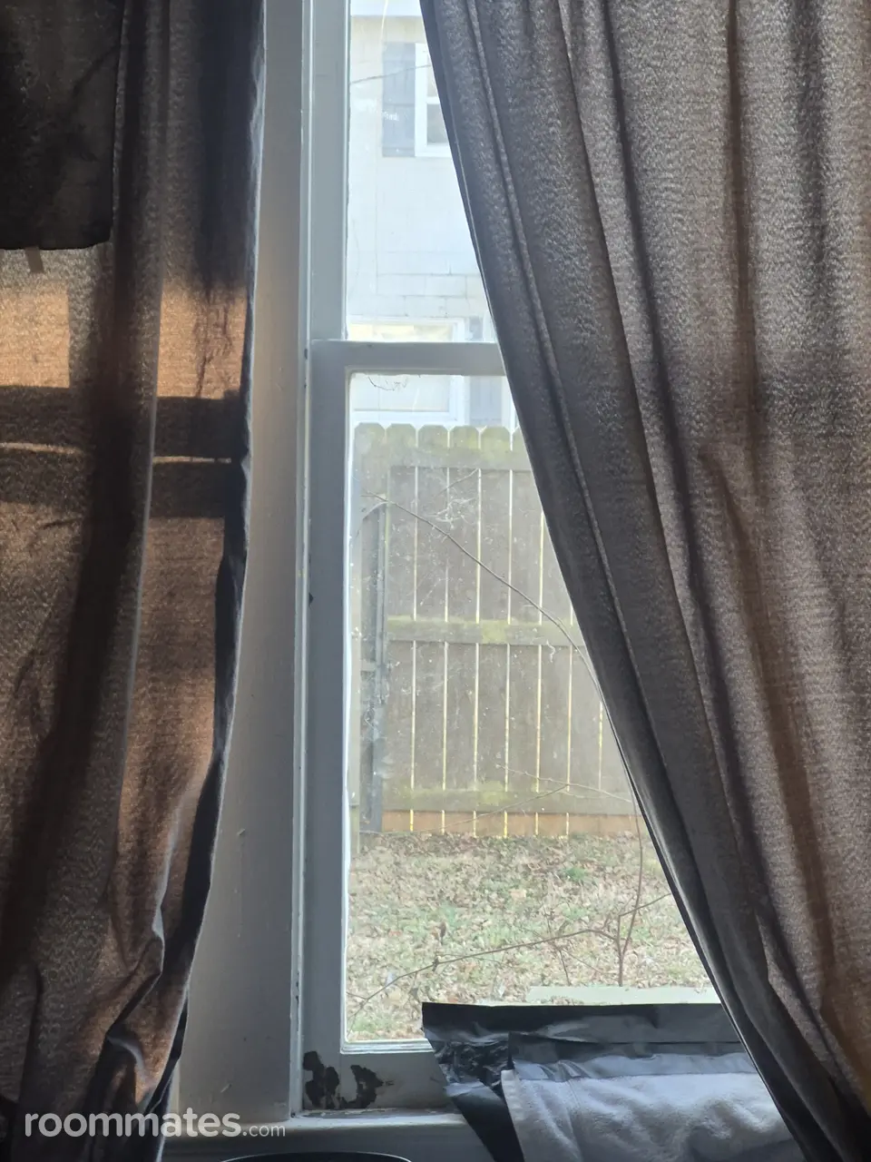 Profile photo 7 of 11