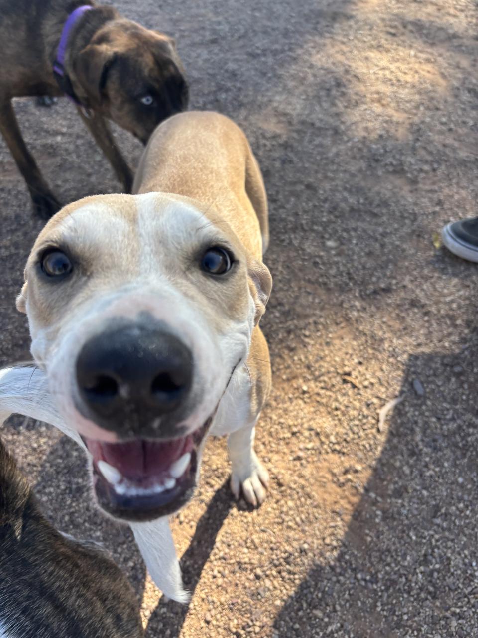 Profile photo 6 of 8