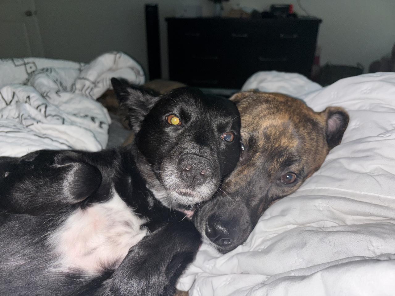 Profile photo 5 of 8