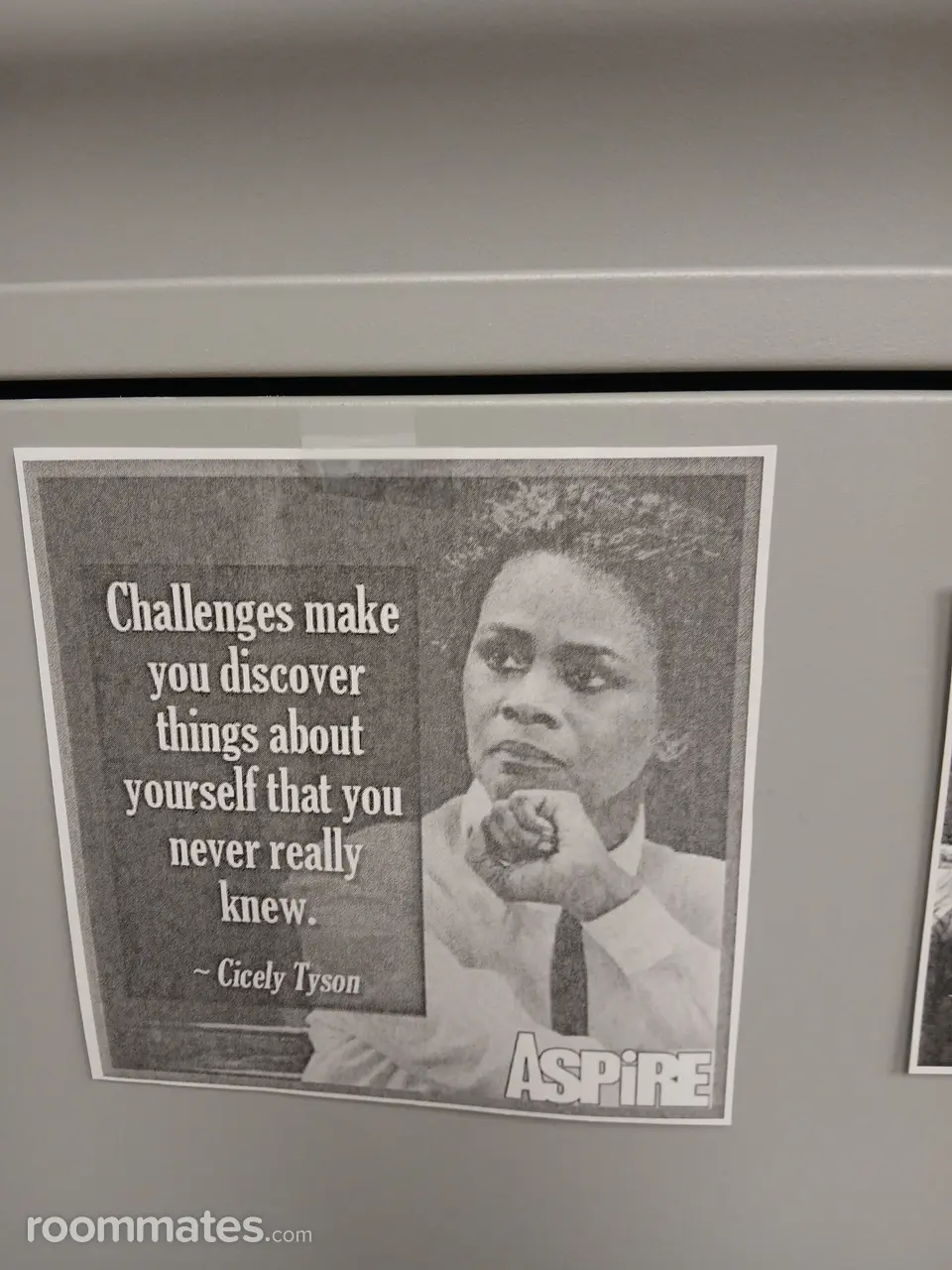 Profile photo 4 of 4