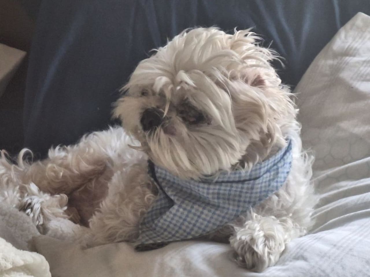 Profile photo 7 of 7