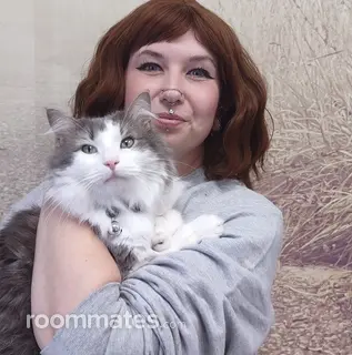 Roommate looking O Fallon, MO, $600