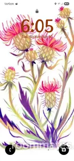 Roommate looking Georgetown, TX, $800