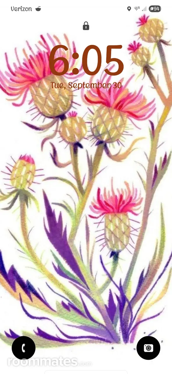 Profile photo 1 of 1