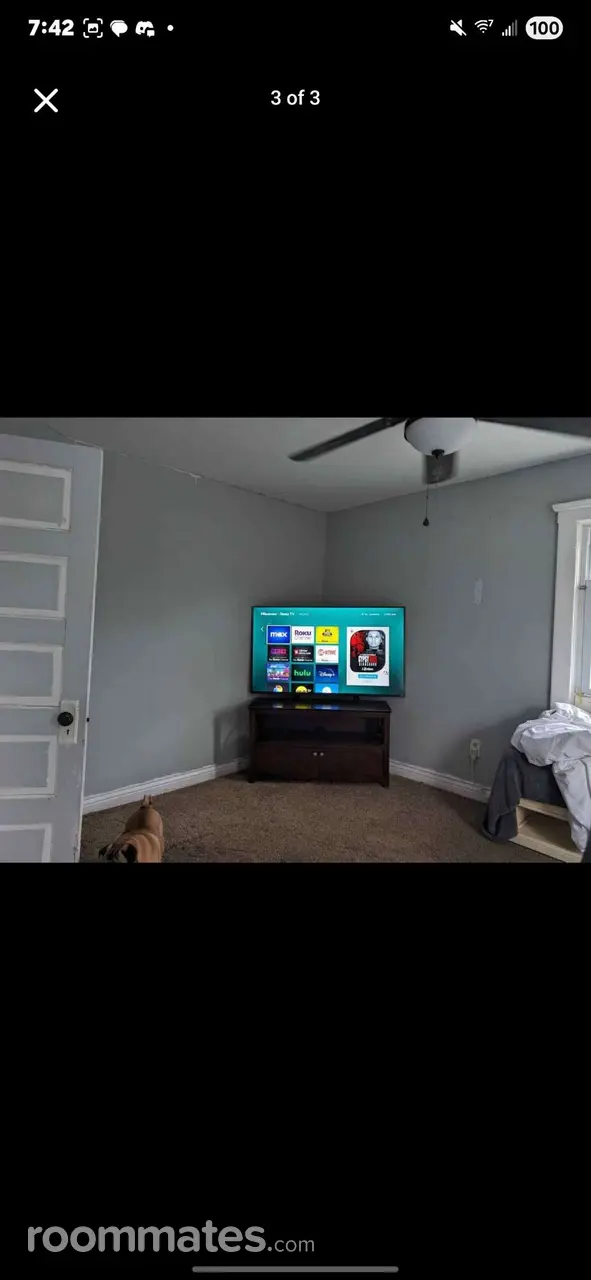 Profile photo 3 of 4