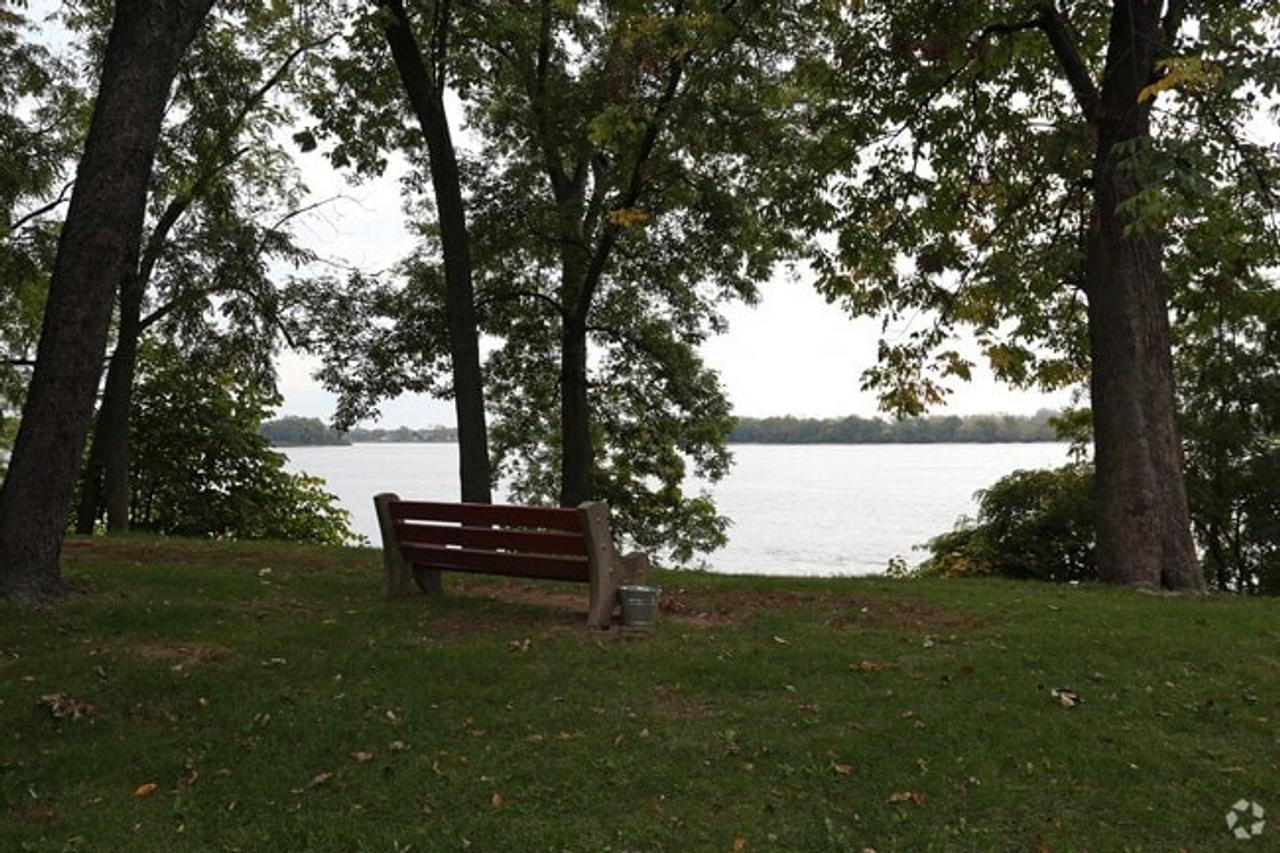 Profile photo 10 of 11