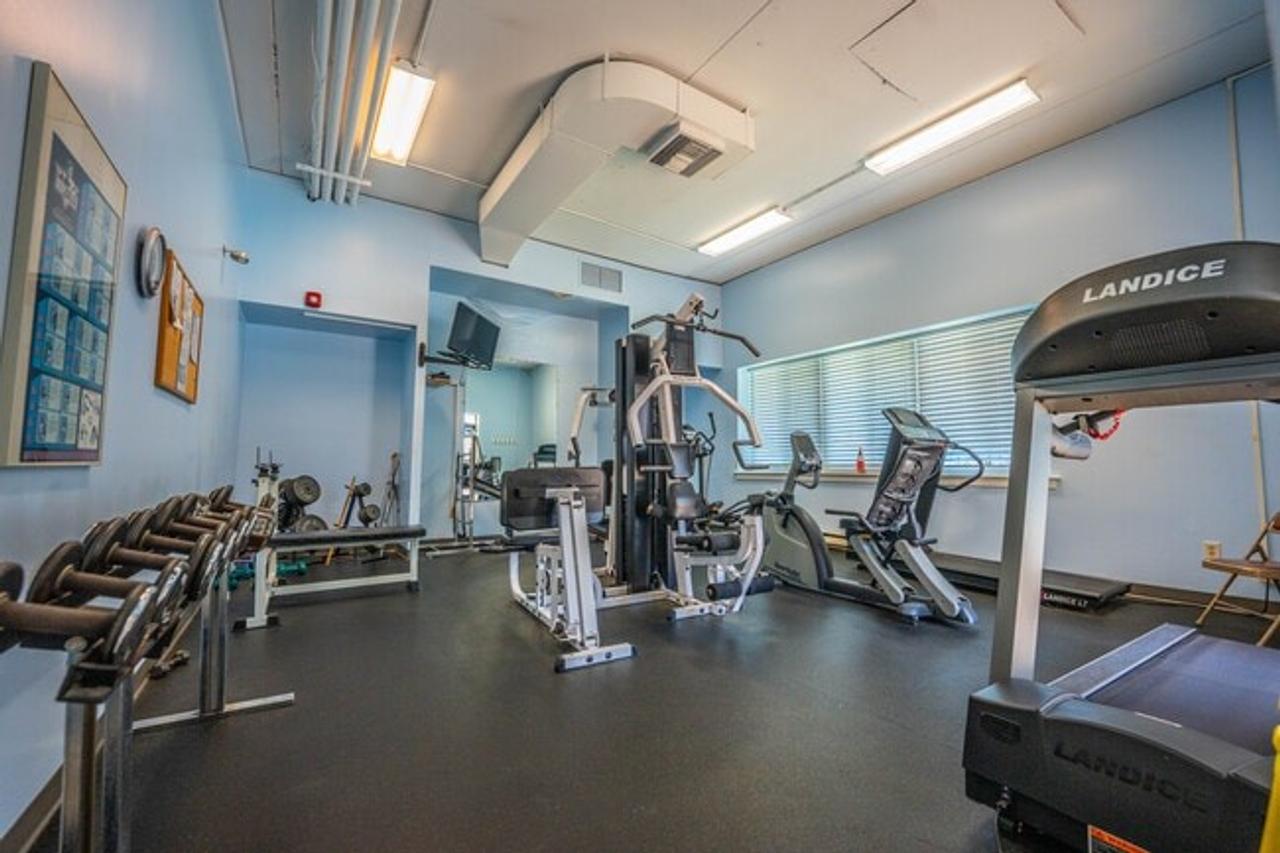 Profile photo 3 of 11