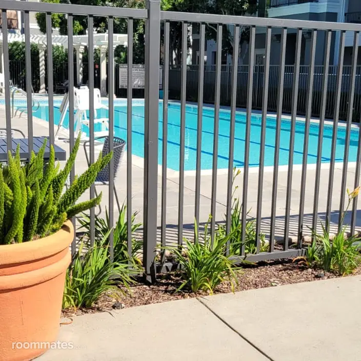 Room for rent in Hayward, CA $1450, apartment