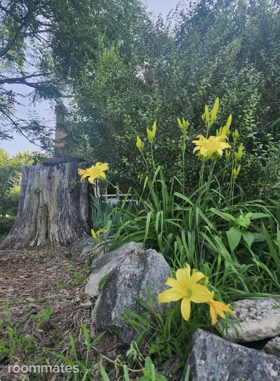 Profile photo 2 of 2