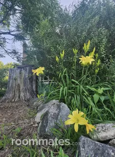 Room for rent in Mechanicsville, VA $800, house