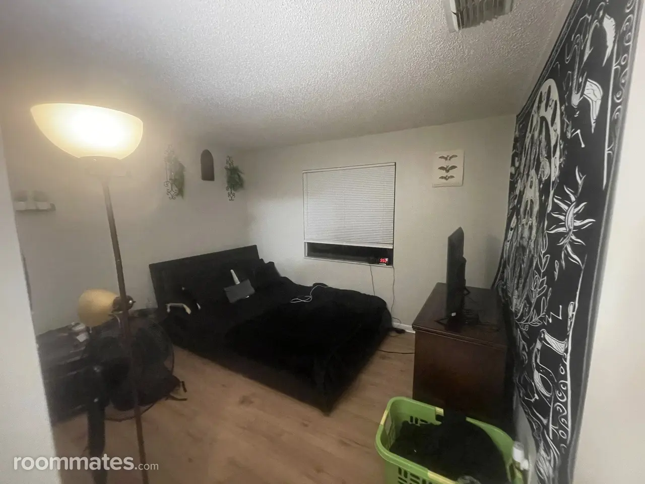 Profile photo 3 of 6