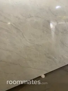 Room for rent in Chicago, IL $1000, apartment