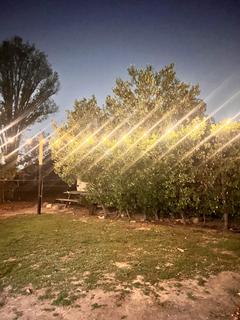 Room for rent in Bellflower, CA $1100, house