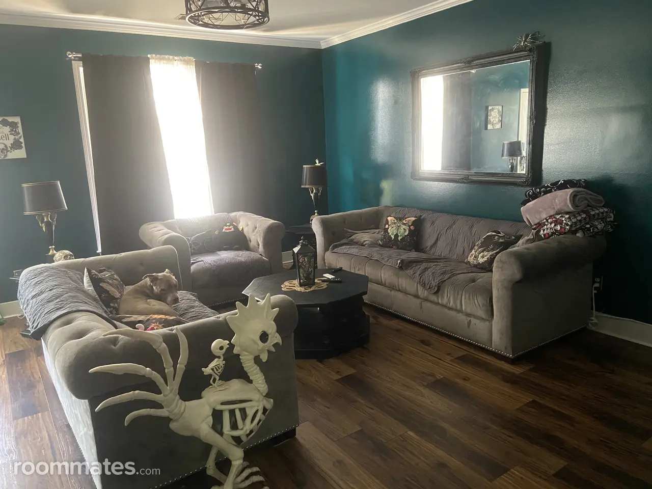 Profile photo 5 of 14