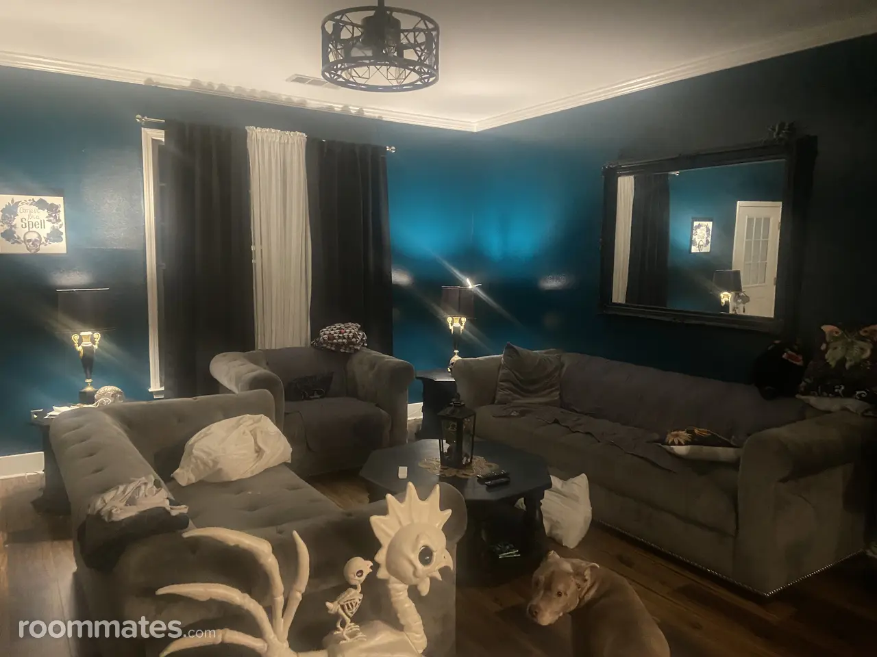 Profile photo 9 of 14