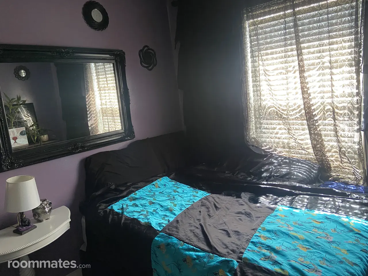 Profile photo 12 of 14