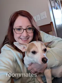 Roommate looking Fort Wayne, IN, $800