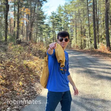 Thumbnail 15