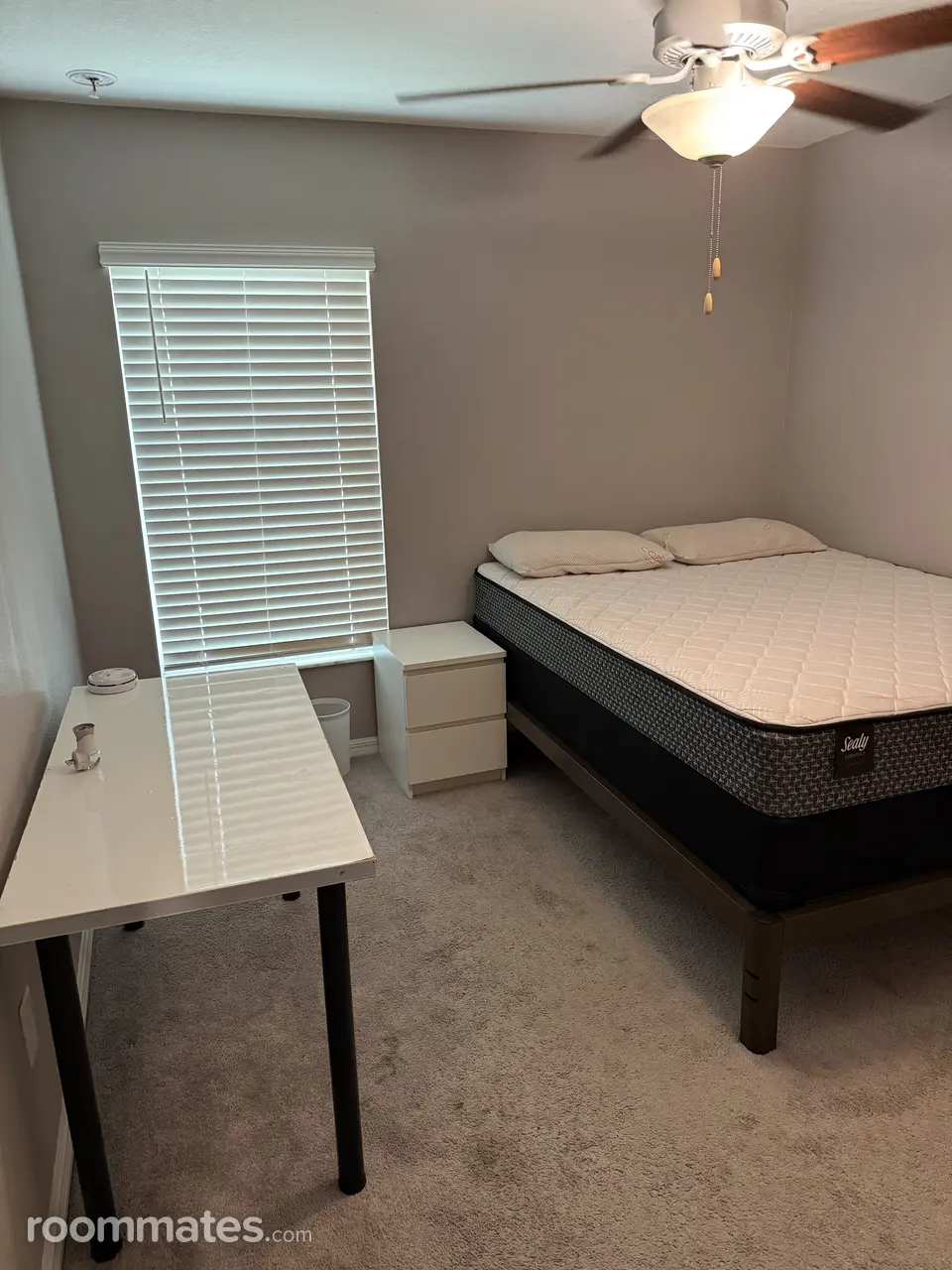 Profile photo 5 of 5