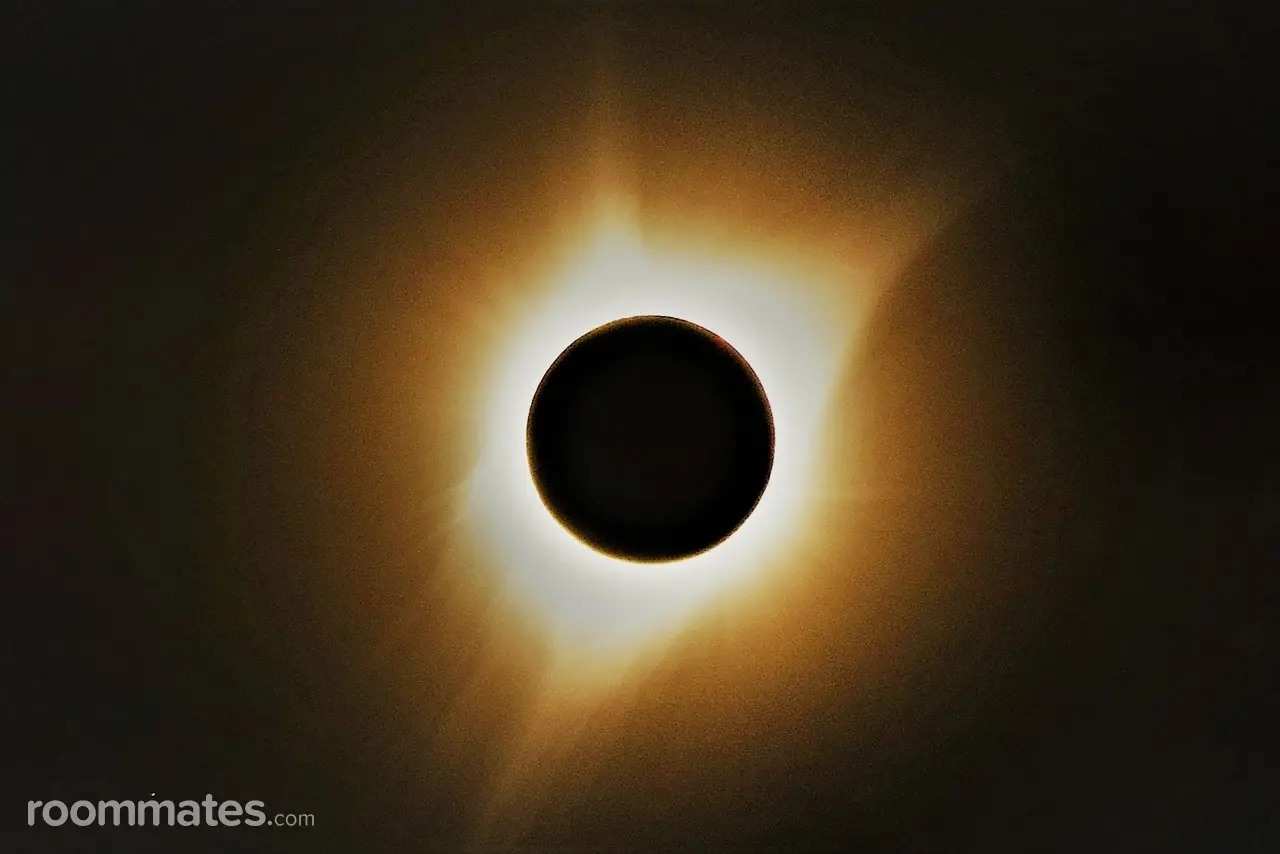 Profile photo 2 of 3