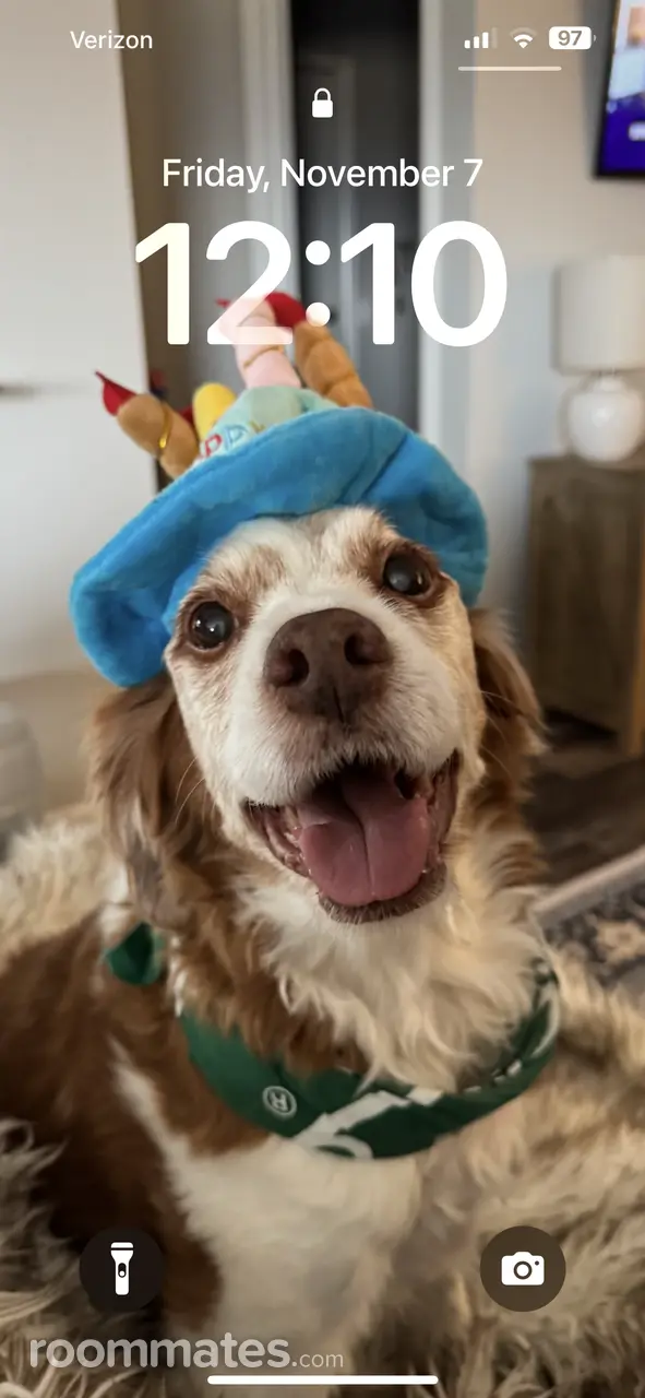 Profile photo 3 of 3