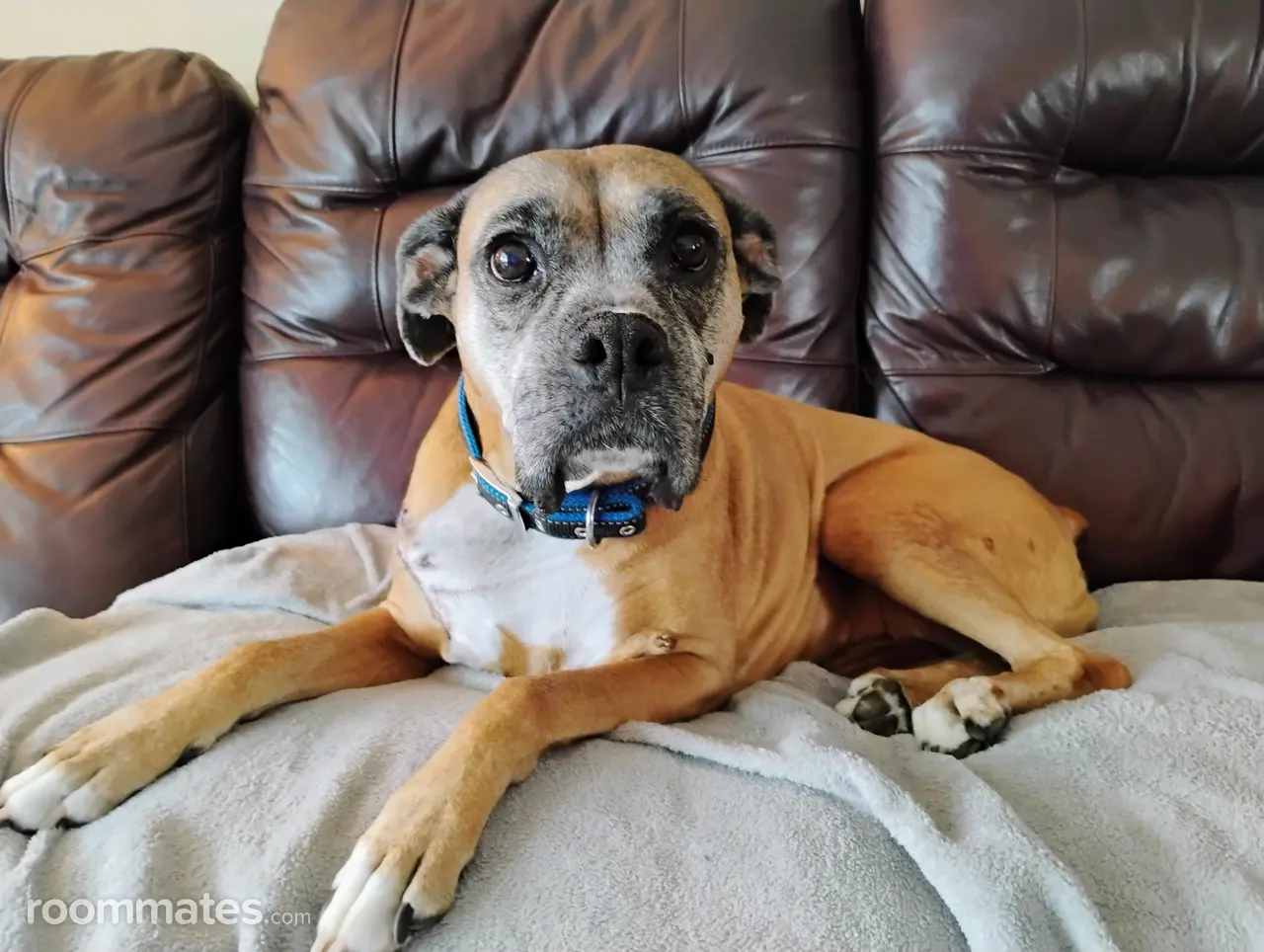 Profile photo 2 of 10