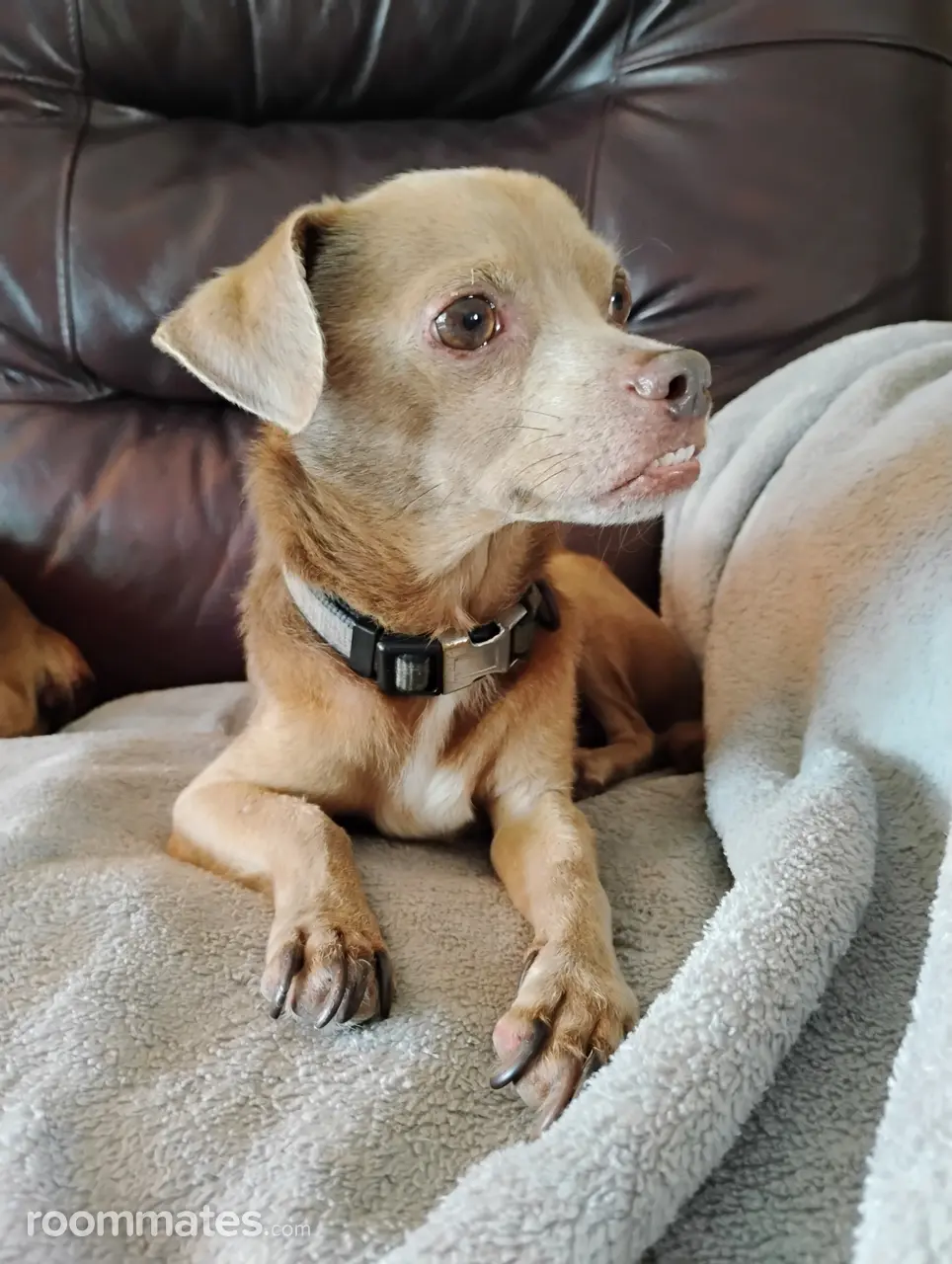 Profile photo 1 of 10