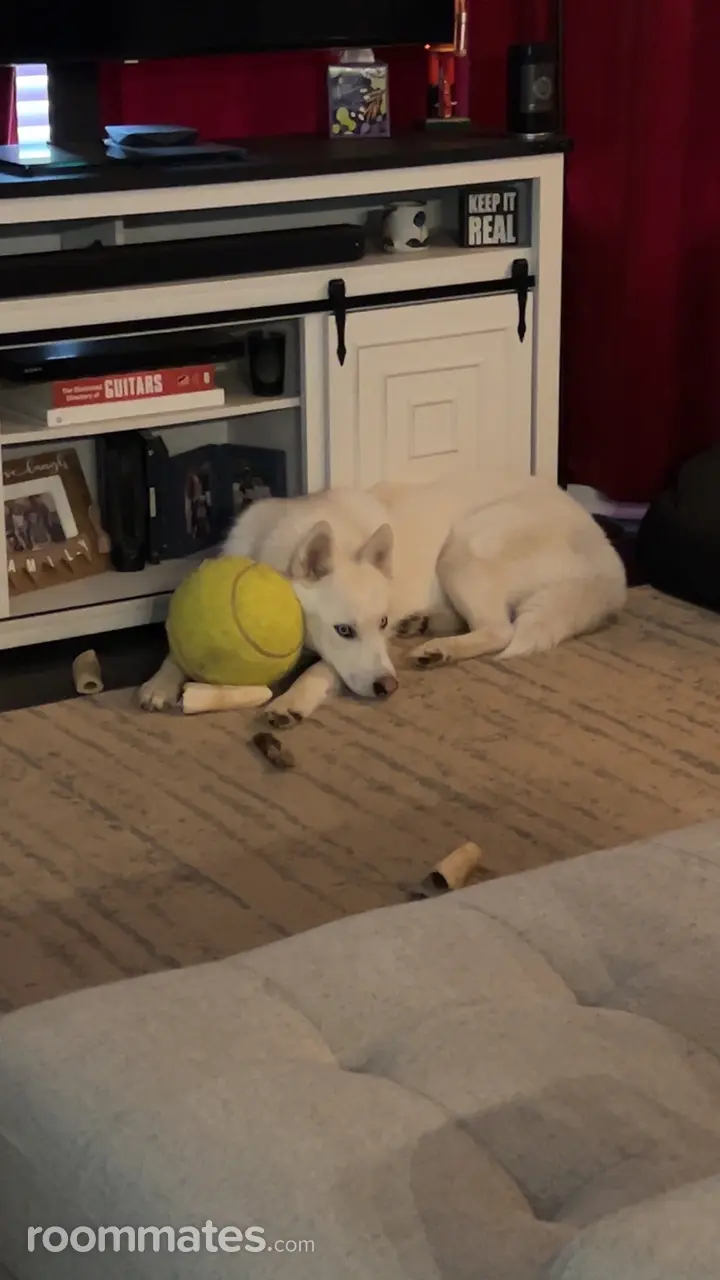 Profile photo 12 of 17