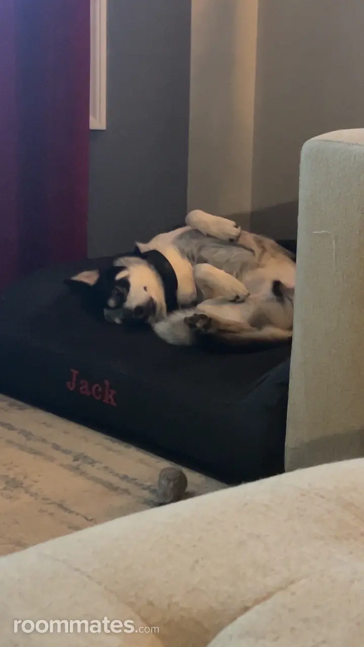 Profile photo 15 of 17