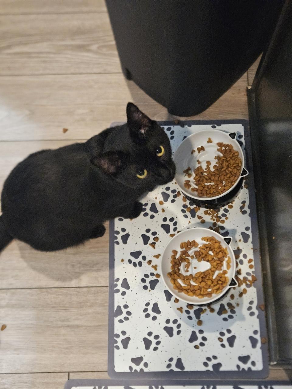 Profile photo 6 of 6