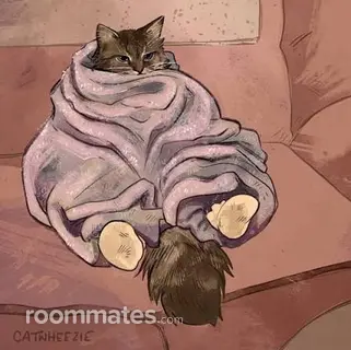 Roommate looking Marysville, PA, $1000