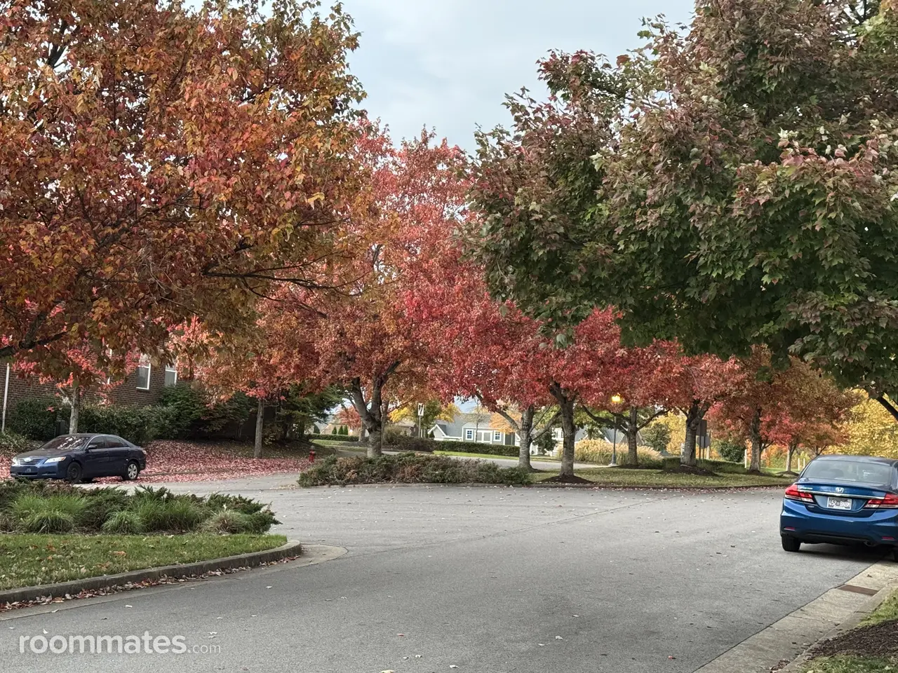 Profile photo 4 of 6