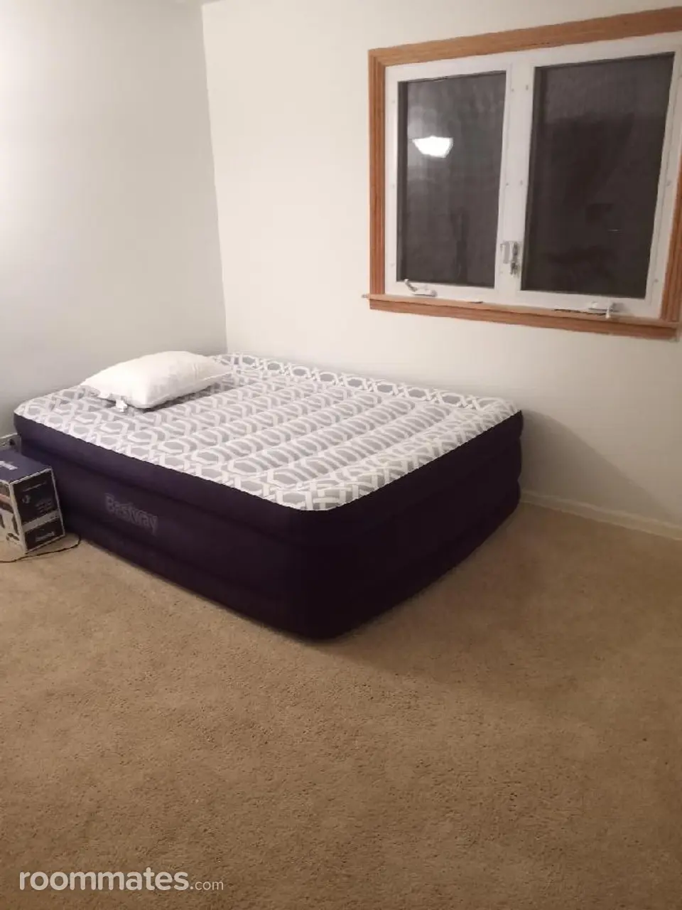 Profile photo 8 of 9