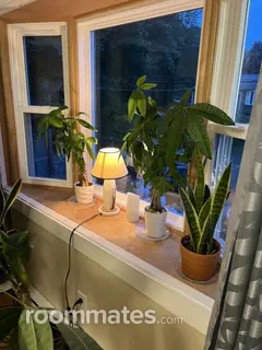 Room for rent in Narragansett, RI $1100, house