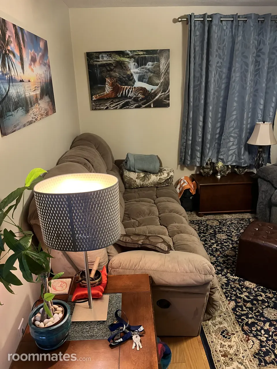 Profile photo 2 of 8