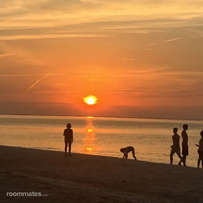 Room for rent in Virginia Beach, VA $1375, condo